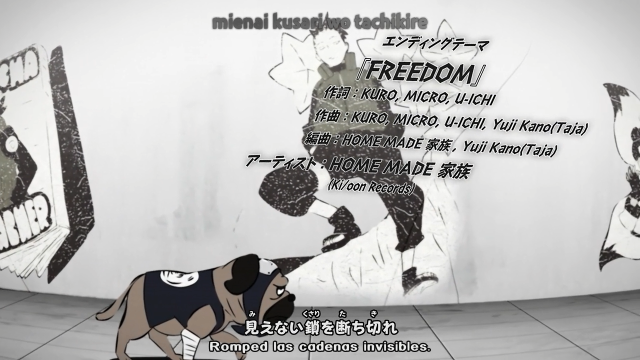 Naruto Shippūden (Nine Tails Fansub, Backbeard)
